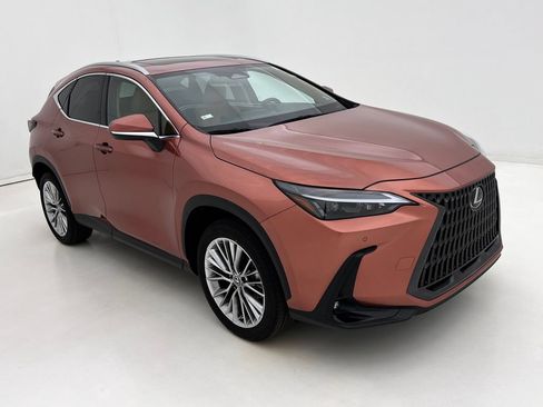 Used 2025 Lexus NX 350 AWD w/ Cold Area Package image 2