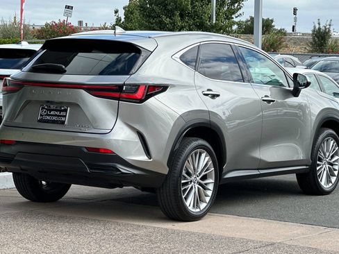 Used 2025 Lexus NX 350h AWD w/ Cold Area Package image 4