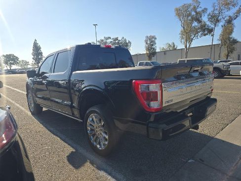 Used 2023 Ford F150 Limited AWD/4WD image 6
