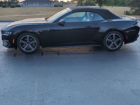 Used 2024 Ford Mustang Premium RWD image 2