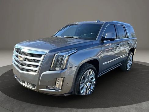 Used 2019 Cadillac Escalade Platinum AWD/4WD image 1