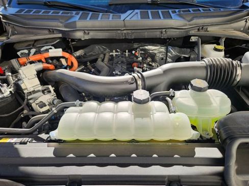 New 2025 Ford F150 XLT w/ Equipment Group 302A MID image 20