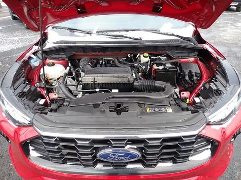 Used 2024 Ford Escape ST-Line w/ Tech Pack #1 image 13