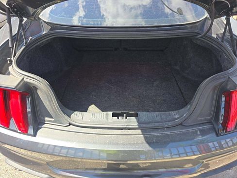 Used 2019 Ford Mustang GT RWD image 6