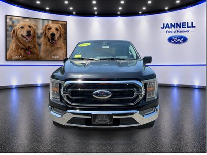 Used 2023 Ford F150 XLT w/ Equipment Group 302A High