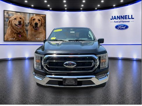 Used 2023 Ford F150 XLT w/ Equipment Group 302A High AWD/4WD image 2