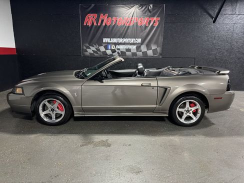 Used 2001 Ford Mustang Cobra image 2