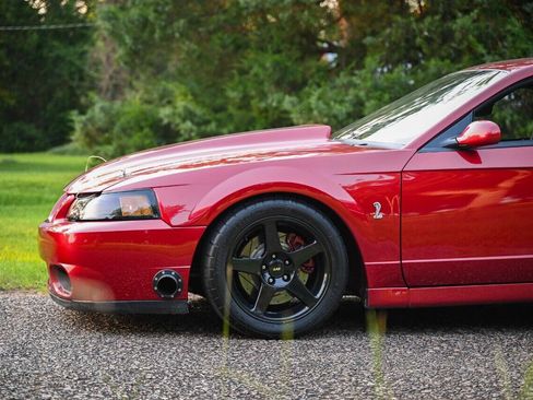 Used 2003 Ford Mustang Cobra RWD image 35