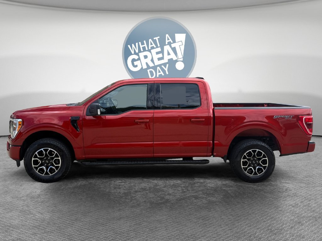 Used 2023 Ford F150 XLT w/ Equipment Group 302A High AWD/4WD image 7