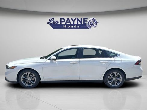 Used 2024 Honda Accord EX image 4