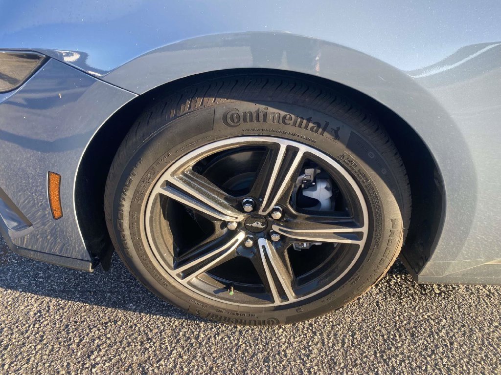 Used 2025 Ford Mustang Coupe RWD image 4