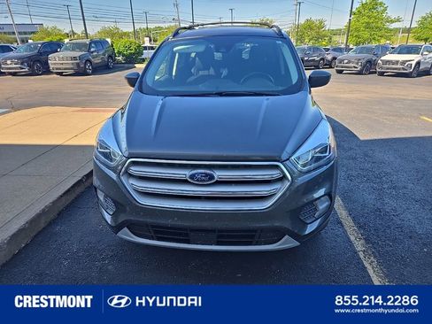 Used 2019 Ford Escape SEL AWD/4WD image 4