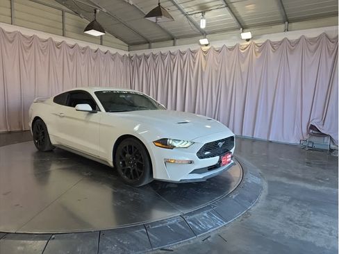 Used 2018 Ford Mustang Coupe w/ Ecoboost Performance Package image 6