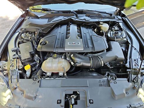 Used 2019 Ford Mustang GT RWD image 31
