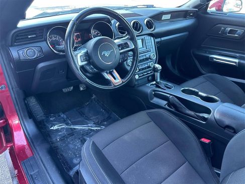 Used 2016 Ford Mustang V6 w/ Equipment Group 051A image 9