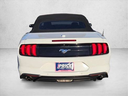 Used 2019 Ford Mustang Premium image 7