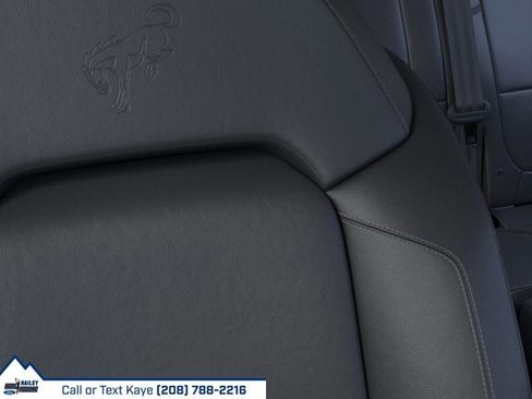 New 2025 Ford Bronco Badlands w/ Sasquatch Package image 50