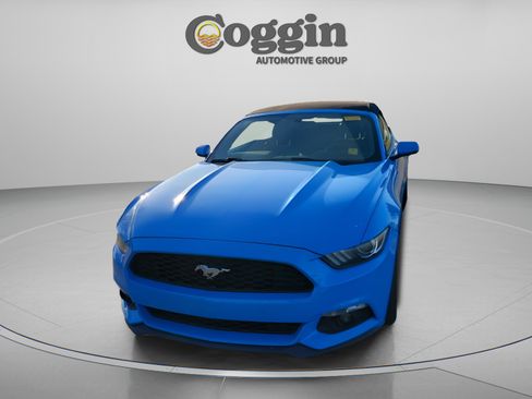 Used 2017 Ford Mustang Premium image 1