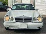 Used 1999 Mercedes-Benz E 320 Sedan image 3