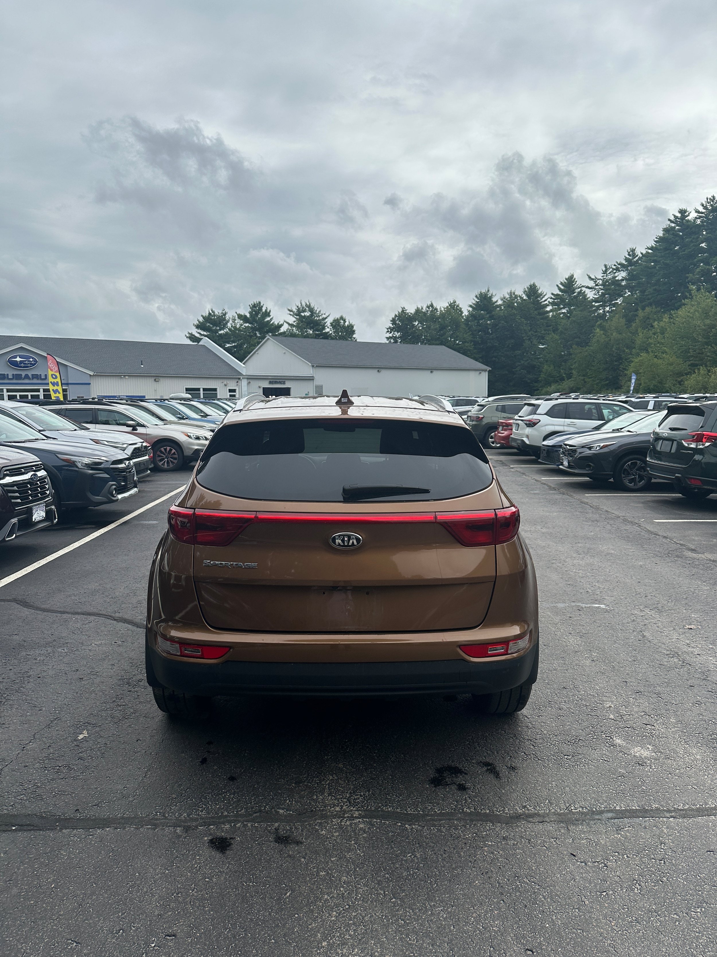 Used 2019 Kia Sportage LX w/ LX Popular Package AWD/4WD image 6