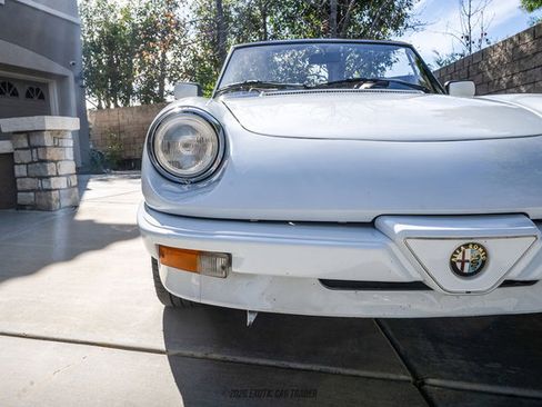 Used 1989 Alfa Romeo Spider Graduate image 81