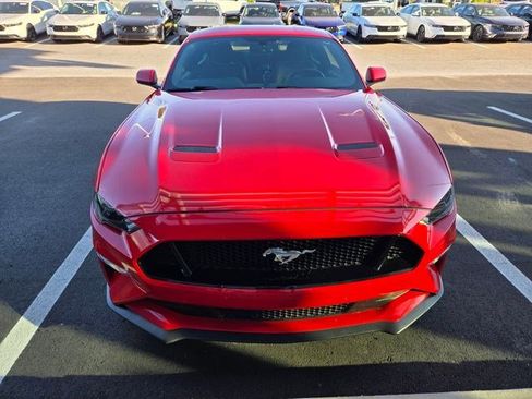Used 2019 Ford Mustang GT RWD image 2