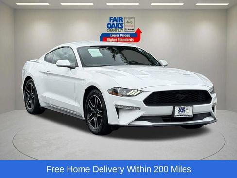 Used 2019 Ford Mustang Coupe w/ Equipment Group 101A RWD image 1