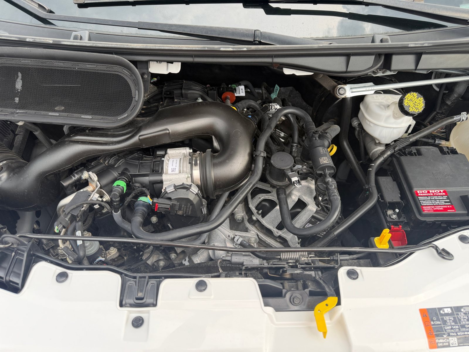 Used 2024 Ford Transit 250 Low Roof w/ Exterior Upgrade Package RWD image 19