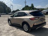 Used 2020 Ford Escape SE image 4