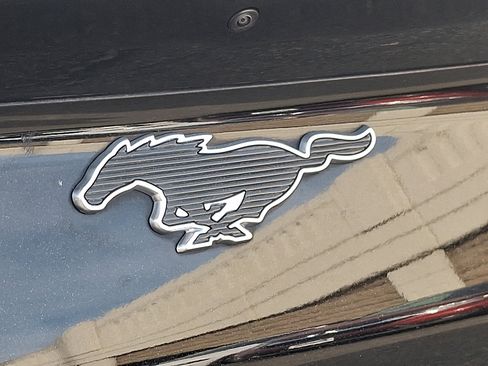 Used 2021 Ford Mustang Mach-E Select w/ Comfort/Appearance Package image 30