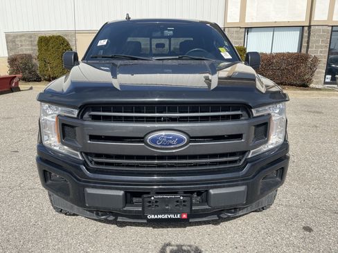 Used 2019 Ford F150 XLT w/ Equipment Group 302A Luxury image 9
