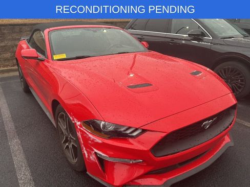 Used 2018 Ford Mustang Premium w/ Equipment Group 201A image 2