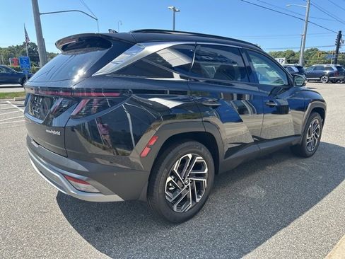 New 2025 Hyundai Tucson Limited image 6