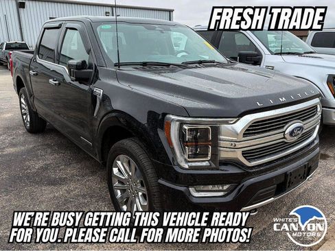 Used 2023 Ford F150 Limited image 5