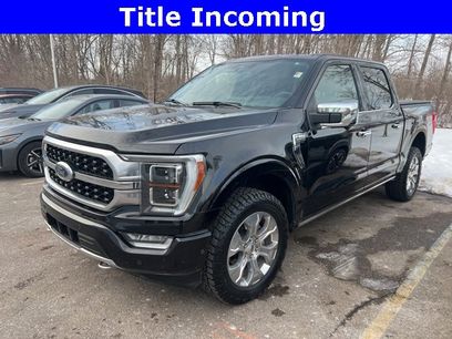 Used 2023 Ford F150 Platinum w/ Equipment Group 701A High