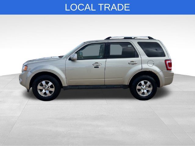 Used 2011 Ford Escape Limited w/ 302A Rapid Spec Order Code AWD/4WD image 3