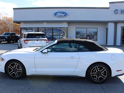 Used 2020 Ford Mustang Premium