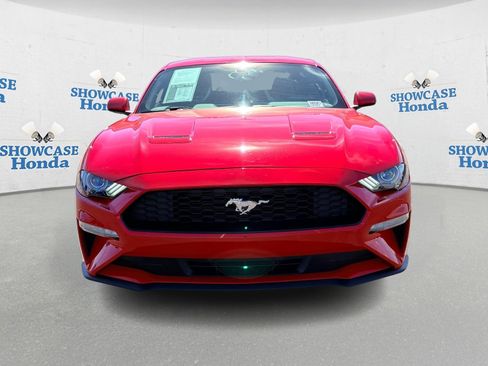 Used 2019 Ford Mustang Coupe image 10