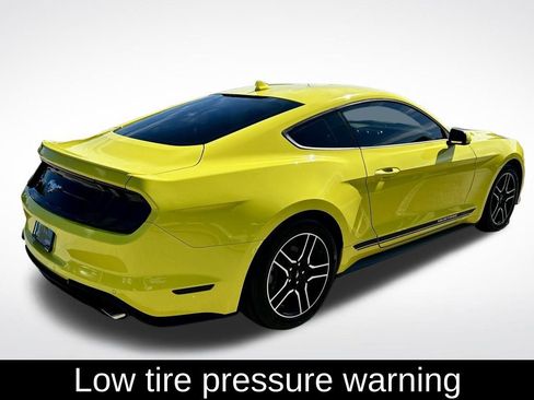 Used 2021 Ford Mustang Premium image 6