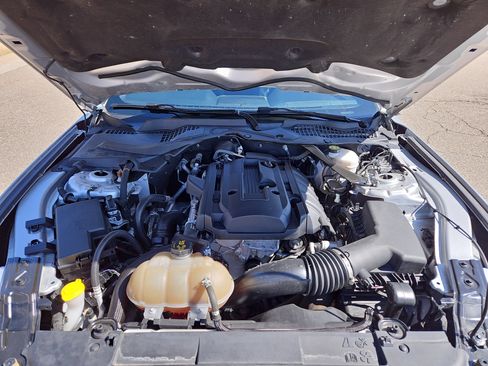 Used 2019 Ford Mustang Premium image 30