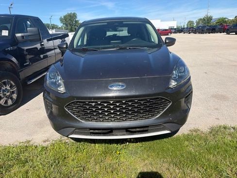 Used 2020 Ford Escape SE AWD/4WD image 2