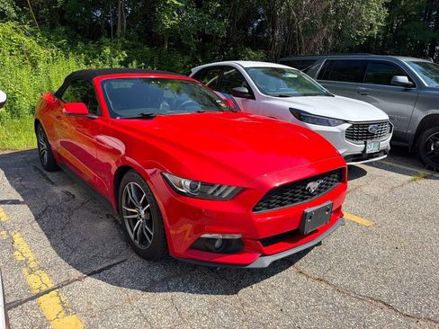 Used 2017 Ford Mustang Premium RWD image 5