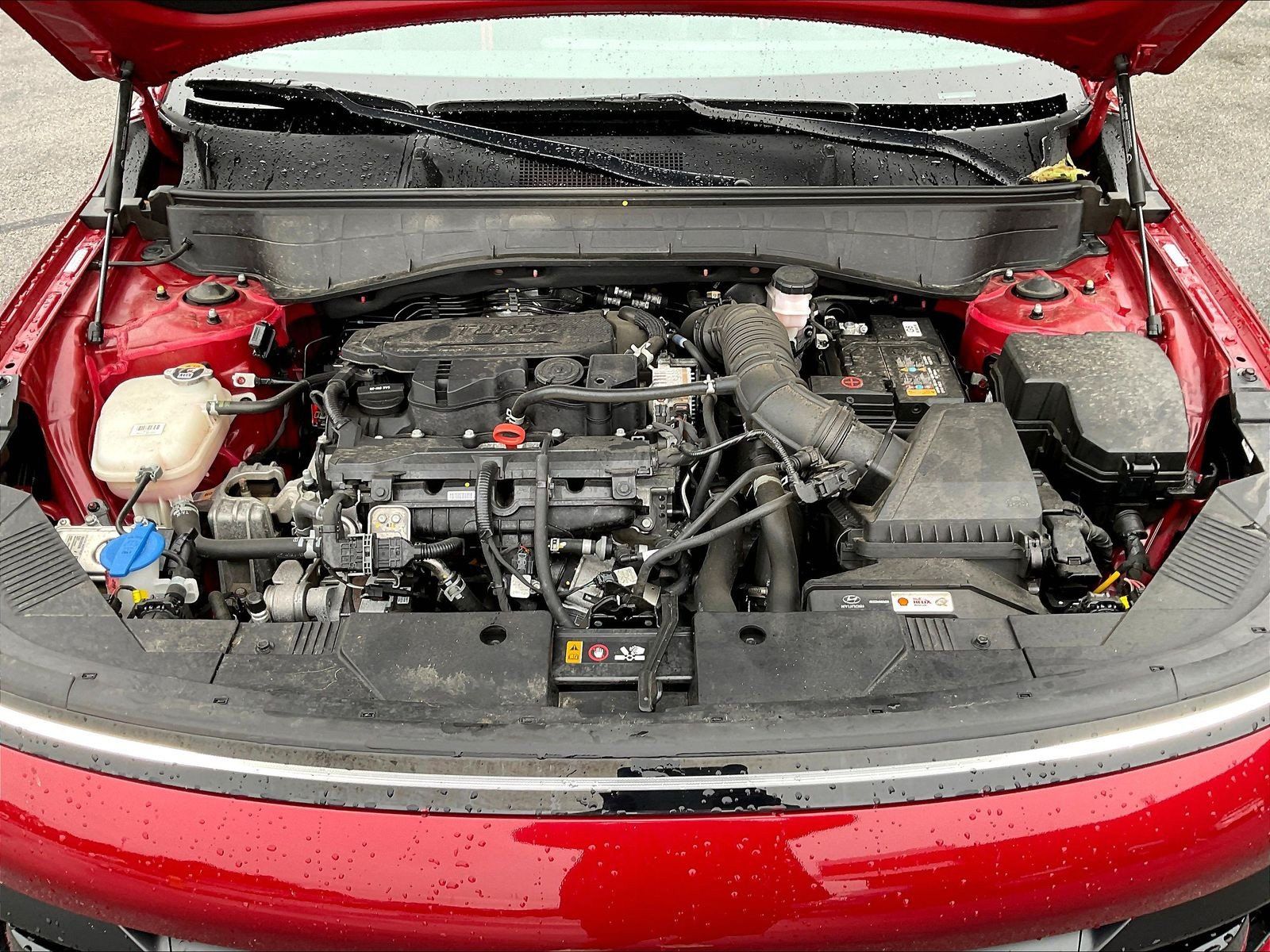 Used 2024 Hyundai Kona N Line AWD/4WD image 29