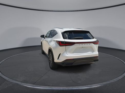 Used 2025 Lexus NX 350h AWD w/ Cold Area Package image 7