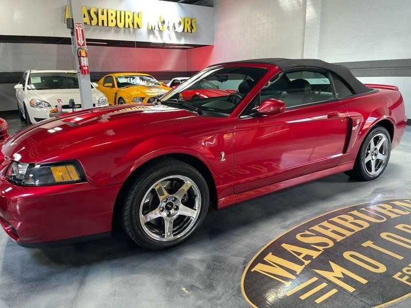 Used 2003 Ford Mustang Cobra RWD image 2