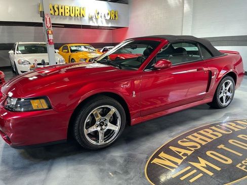 Used 2003 Ford Mustang Cobra RWD image 2