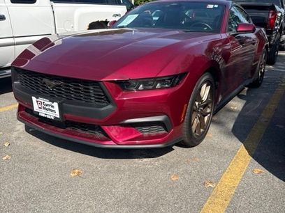 Used 2025 Ford Mustang Premium
