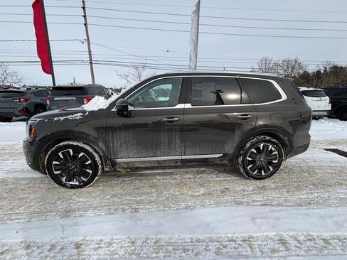 Certified 2023 Kia Telluride SX Prestige image 5