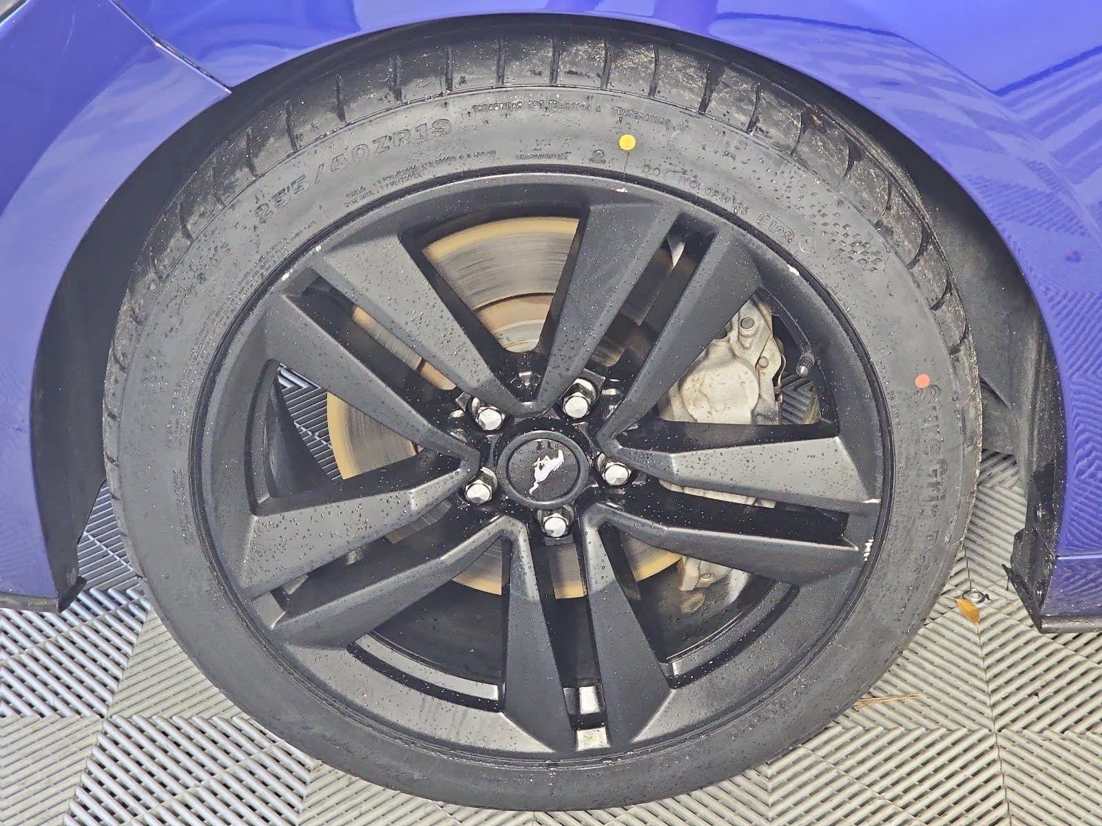 Used 2016 Ford Mustang Coupe w/ Ecoboost Performance Package RWD image 10
