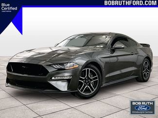 Certified 2019 Ford Mustang GT RWD video 1